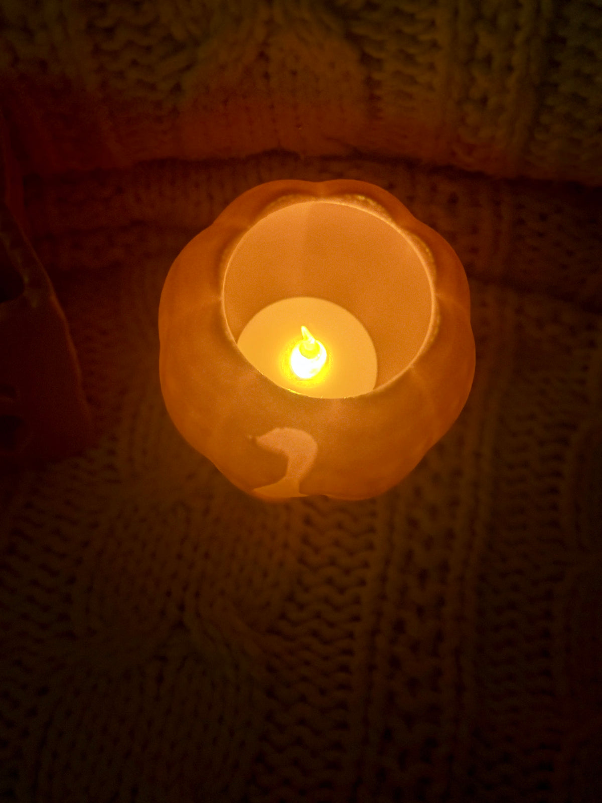 Goose Pumpkin Decor