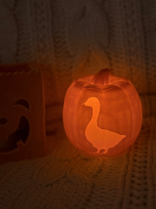 Goose Pumpkin Decor